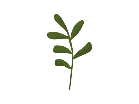 Download Leaves Decorative Elements Illustration - Decorative elements Collection